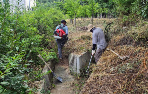 안동시, 추석맞이 경북도청 신도시 환경정비에 연일 구슬땀