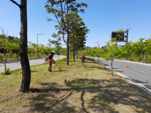 안동시, 추석맞이 가로경관 정비로 아름답고 쾌적한 도시정원 조성