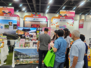 고령군, 제2회 고향사랑의 날 박람회 참가
