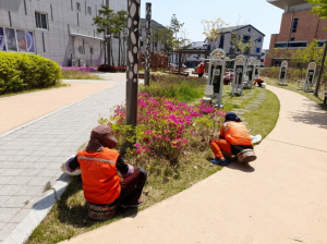 안동시, 추석맞이 가로경관 정비로 아름답고 쾌적한 도시정원 조성
