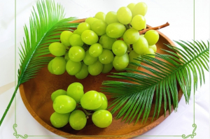 고령몰, 샤인머스켓 브랜드 '아임샤인' 엄선 출하