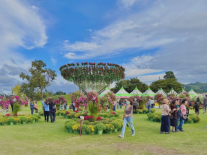 ‘황금정원나들이’ 행사···개막일 4만명 '최다' 방문