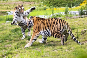 이번 가을 봉화군 관광지로 떠나볼까···