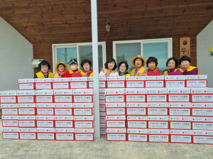 대한적십자 영주시, 성품 전달