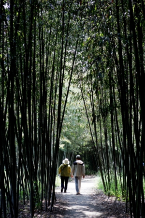 ‘제13회 달성군 전국 사진공모전’ 수상작 발표