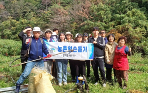 영덕 재무과, 농촌 일손 돕기