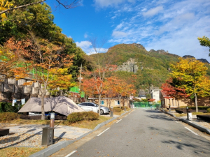 봉화군 캠핑장···전국 캠프 마니아들 '입소문'