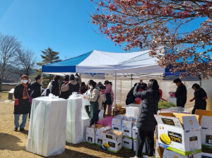 (사)하회마을보존회 ‘세시풍속 김장나눔’ 행사