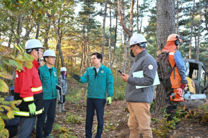 영덕 소나무재선충 방제···마스터플랜 수립