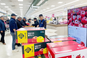 청송사과 홍보행사 진행