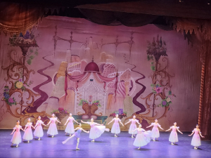 경산 시민상생캠퍼스···'호두까기 인형' 공연 감상