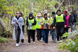 맨발 걷기 최적지 '나리분지'···울릉 웰니스 알린다