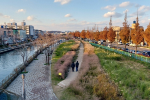 포항 운하 수변 정원 볼거리