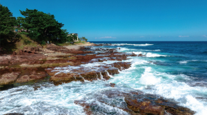 I 겨울여행 I 겨울여행 어디로 갈까?