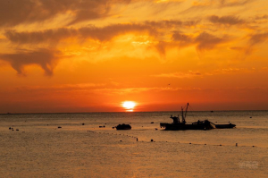 영덕 역사&문화스토리  <1 영덕읍>