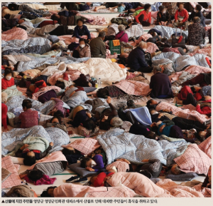 재난 문자 고령자 무용지물... 개선시급