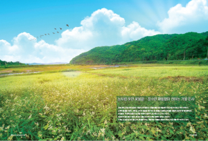 눈처럼 하얀 꽃물결… 창수면 메밀밭이 전하는 가을 인사