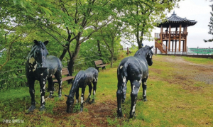 2026년 병오년(丙午年),  다시 뛰는 ‘붉은 말’의 기상으로