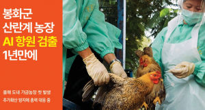 [TK소식] 봉화군 산란계 농장 AI 항원 검출 1년만에