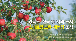 [TK소식] 경북도, 전국 첫 ‘사과 노지 스마트팜 교육‧체험장’ 조성